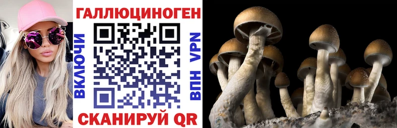 Купить закладки  Новотитаровская  Псилоцибиновые грибы мухоморы 
