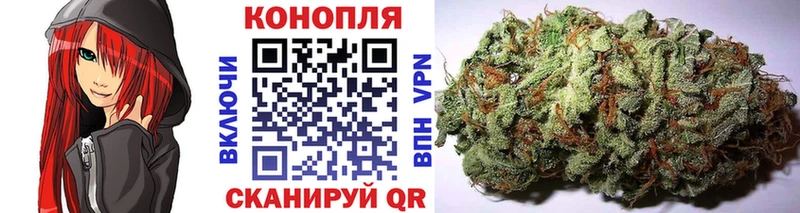 Купить  Новотитаровская  Каннабис AK-47 